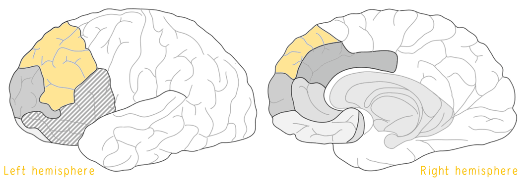 DLPFC