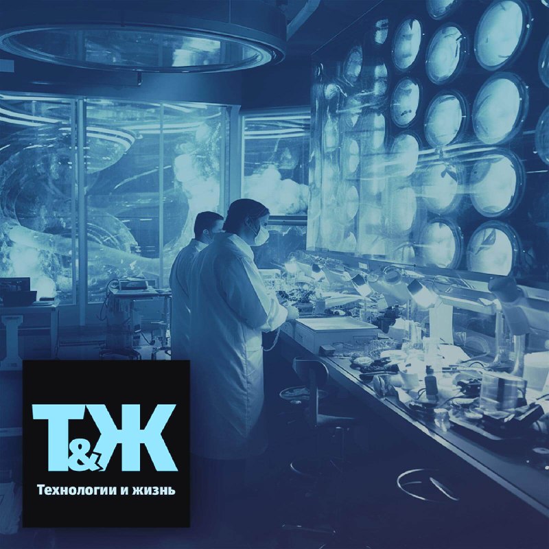 Технологии и жизнь: подкаст • №112 Противоречивые темы